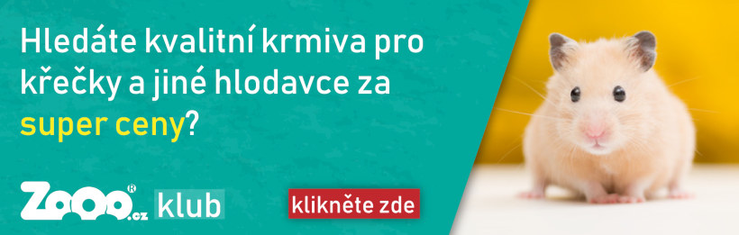 Obrázek 0